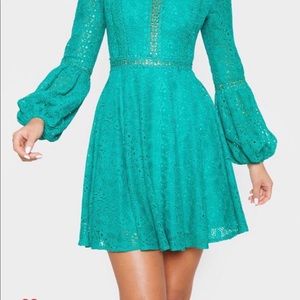 PLT gorgeous green lace dress.